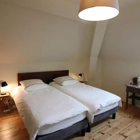 Maison De Maitre Restauree A Saint-flour, Grand Jardin Prive, Wifi, Tout Confort - Fr-1-742-351 Сasa de vacaciones *
